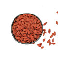 China dried large grains goji berry barbary Wolfberry Fruit in ningxia for sale